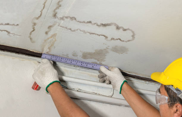 Reliable Mold Remediation contractor in Clinton Township, MI by Water Damage Irwin